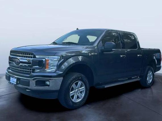 FORD F-150 2020 1FTEW1EB8LFA85966 image
