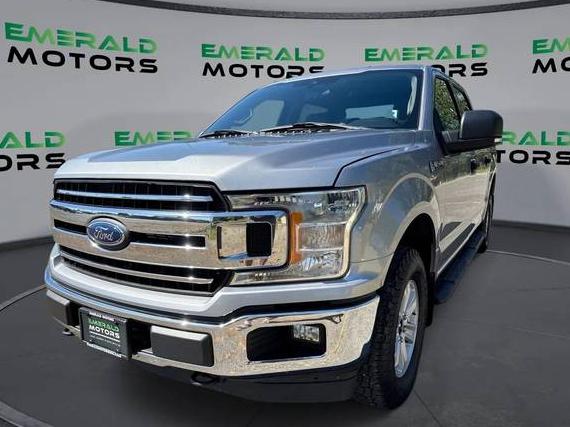 FORD F-150 2020 1FTEW1EB7LKE67476 image