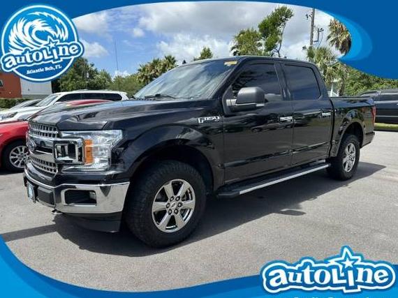 FORD F-150 2020 1FTEW1EP4LKF33462 image