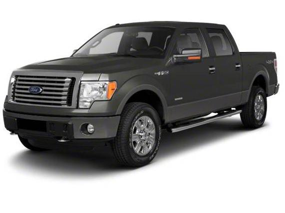 FORD F-150 2011 1FTEW1CM6BFB76687 image