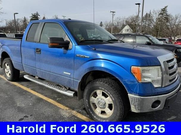 FORD F-150 2011 1FTFX1ET5BFB54069 image