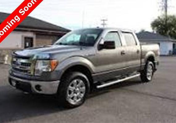 FORD F-150 2013 1FTFW1CT1DKG31385 image