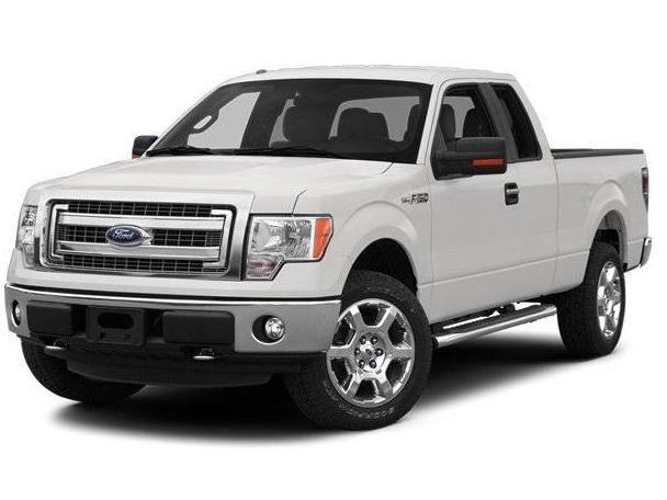 FORD F-150 2013 1FTFX1ET0DFA33534 image