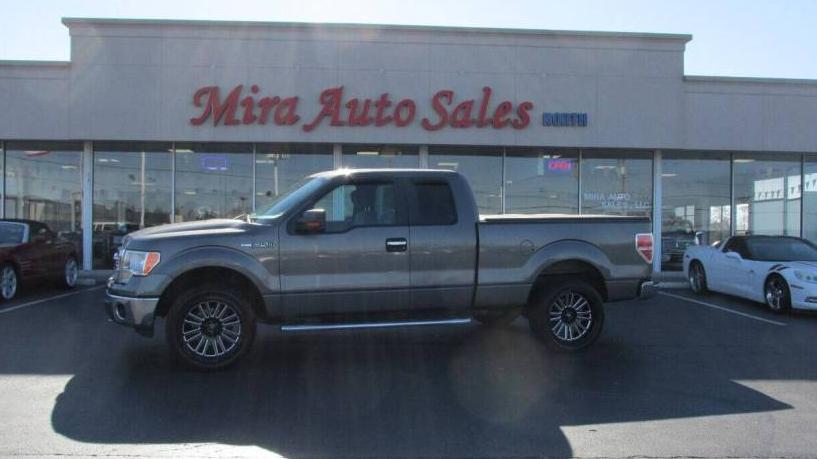 FORD F-150 2013 1FTFX1EF8DKD21559 image