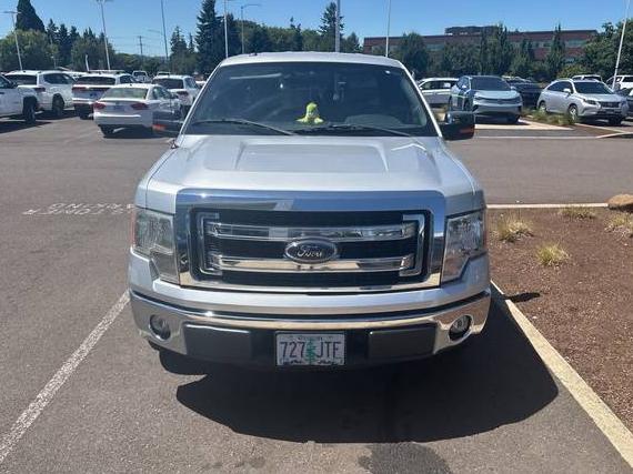 FORD F-150 2013 1FTEX1CM2DFB84799 image