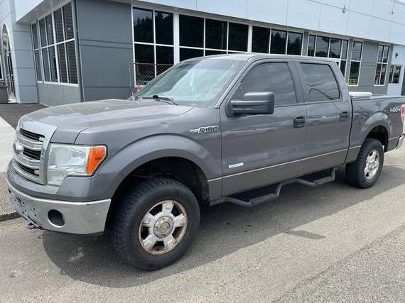 FORD F-150 2013 1FTFW1ET7DKE40650 image