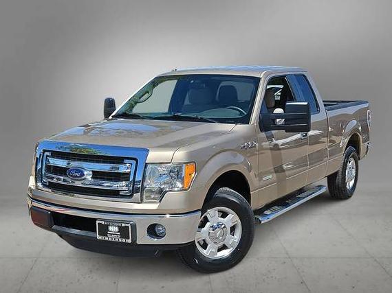 FORD F-150 2013 1FTFX1CT8DFA38712 image