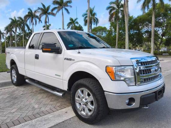 FORD F-150 2013 1FTFX1ETXDFA28874 image