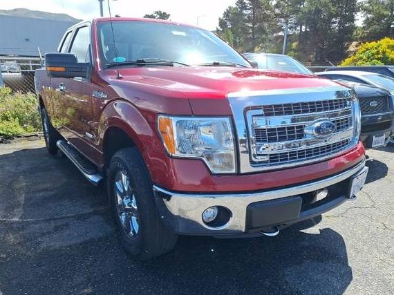 FORD F-150 2013 1FTFX1ET7DFD24032 image