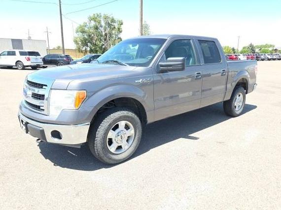 FORD F-150 2013 1FTFW1EF1DKF74189 image