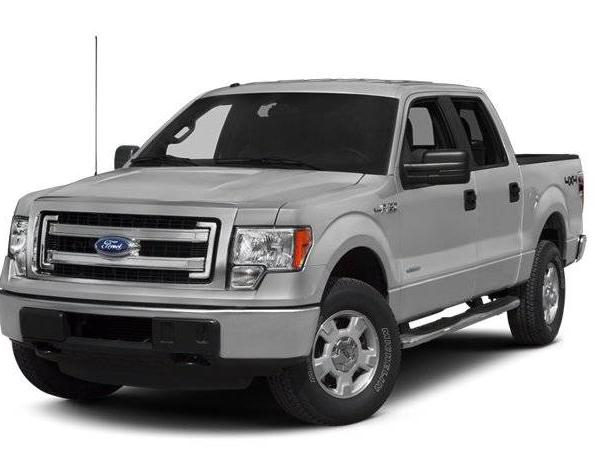 FORD F-150 2013 1FTEW1CM8DFE06491 image