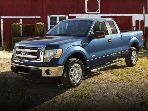 FORD F-150 2013 1FTFX1CT3DFC63569 image