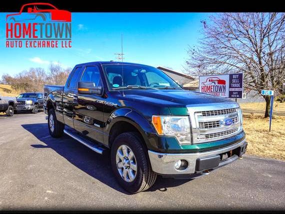 FORD F-150 2013 1FTFX1ET2DFD38954 image