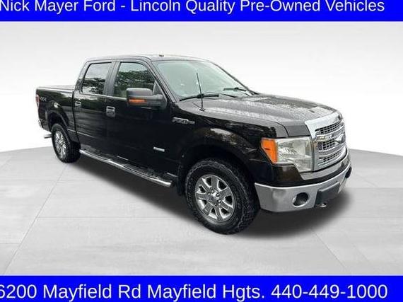 FORD F-150 2013 1FTFW1ET9DKF46534 image