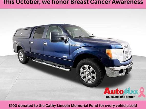 FORD F-150 2013 1FTFW1ET5DKE17500 image FORD F-150 2013 1FTFW1ET5DKE17500 image