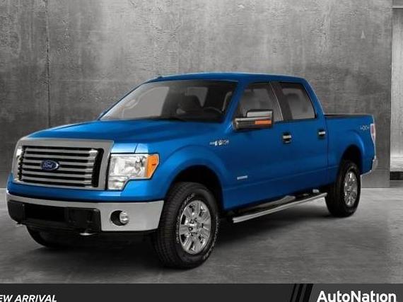 FORD F-150 2010 1FTEW1CVXAFB95251 image