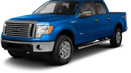 FORD F-150 2010 1FTEW1C82AFB06458 image