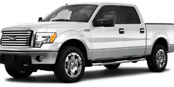 FORD F-150 2010 1FTFW1EV2AFC07636 image