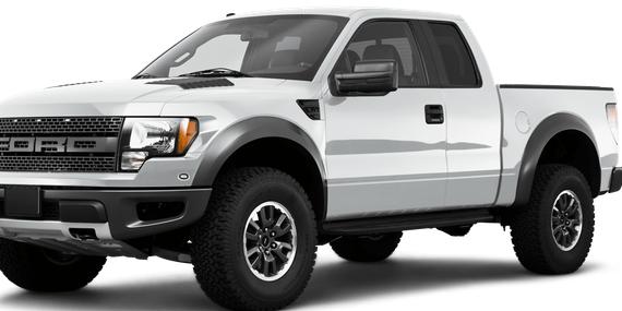 FORD F-150 2010 1FTEX1E66AFD47397 image