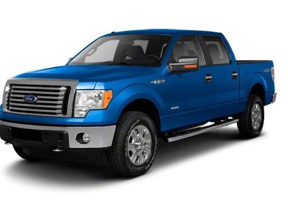 FORD F-150 2010 1FTEW1C80AFB15319 image