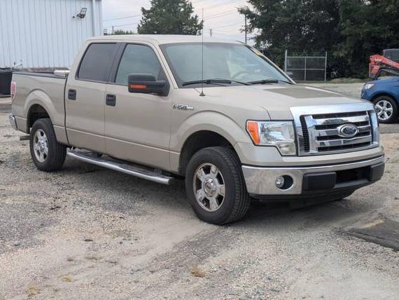 FORD F-150 2010 1FTEW1C8XAFC44264 image