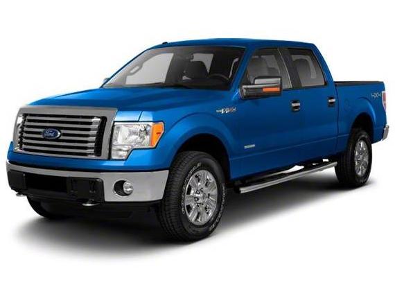 FORD F-150 2010 1FTEW1C89AKA66256 image