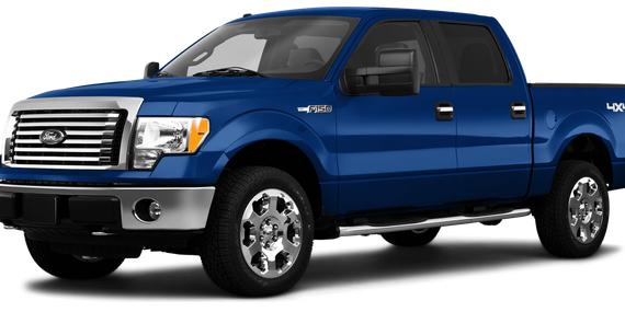 FORD F-150 2010 1FTEW1E83AFB83224 image