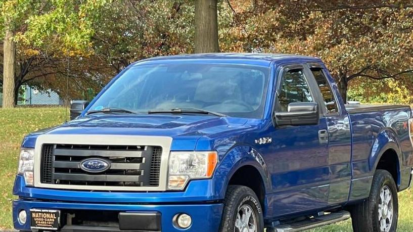 FORD F-150 2010 1FTEX1E82AFB44198 image