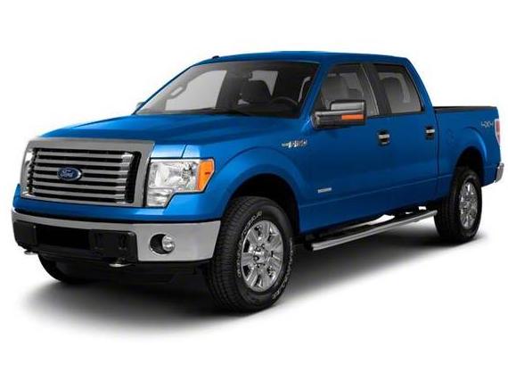 FORD F-150 2010 1FTFW1EV6AFB70624 image