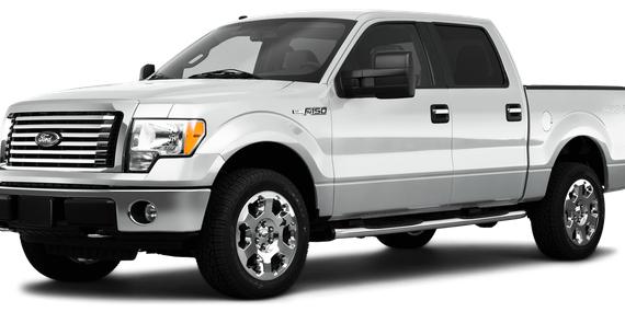 FORD F-150 2010 1FTEW1E89AFB66802 image