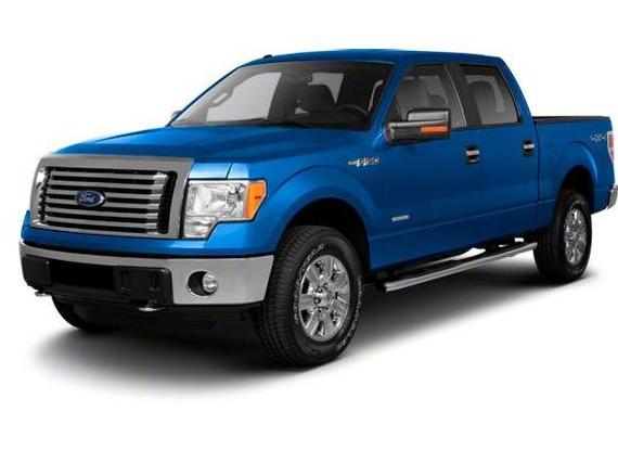FORD F-150 2010 1FTFW1EVXAFA63480 image