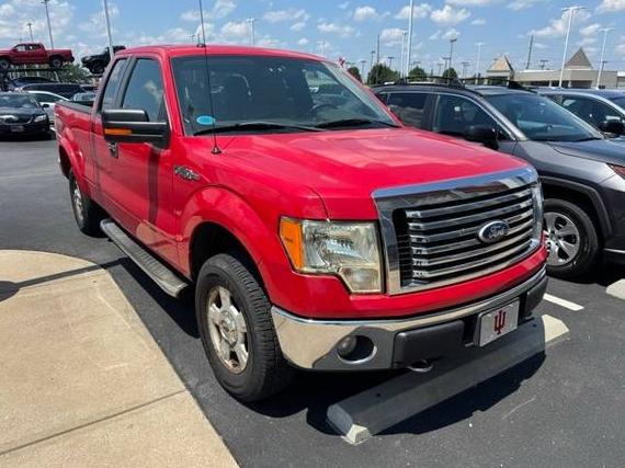 FORD F-150 2010 1FTFX1EV9AFC82864 image