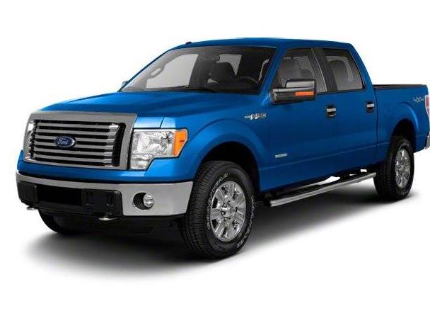 FORD F-150 2010 1FTFW1EV4AKA17389 image