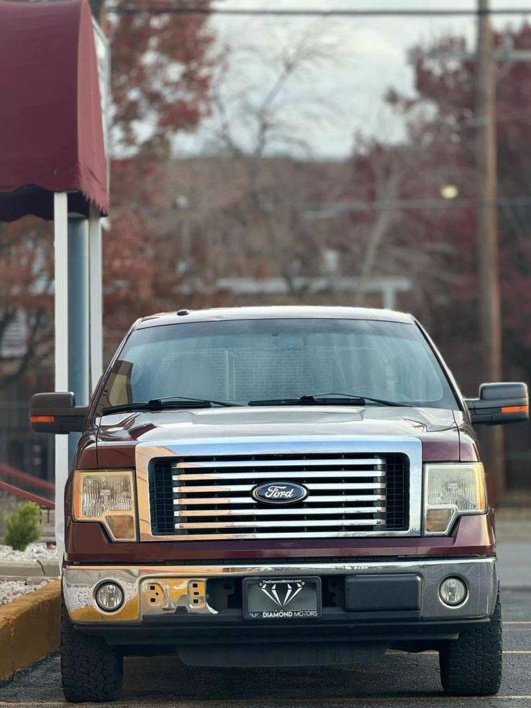 FORD F-150 2010 1FTEW1C83AFD66027 image