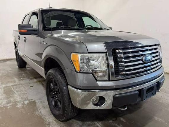 FORD F-150 2010 1FTEW1E85AFD48142 image
