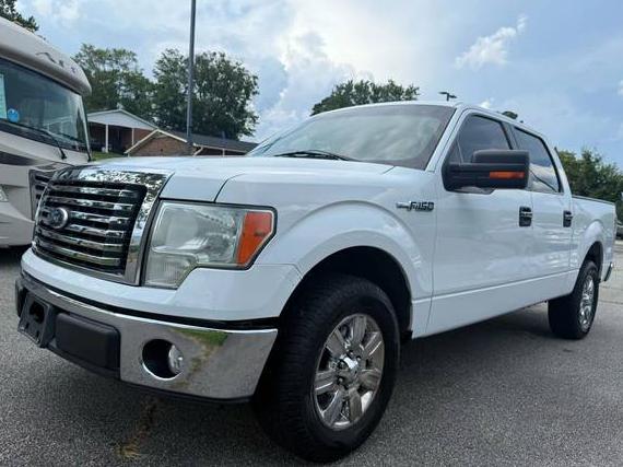 FORD F-150 2010 1FTEW1C88AFC49849 image