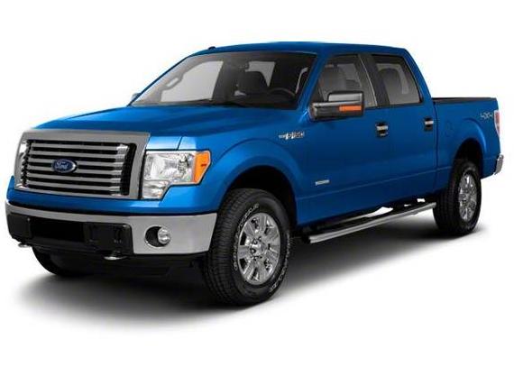 FORD F-150 2010 1FTFW1EV8AKE77042 image