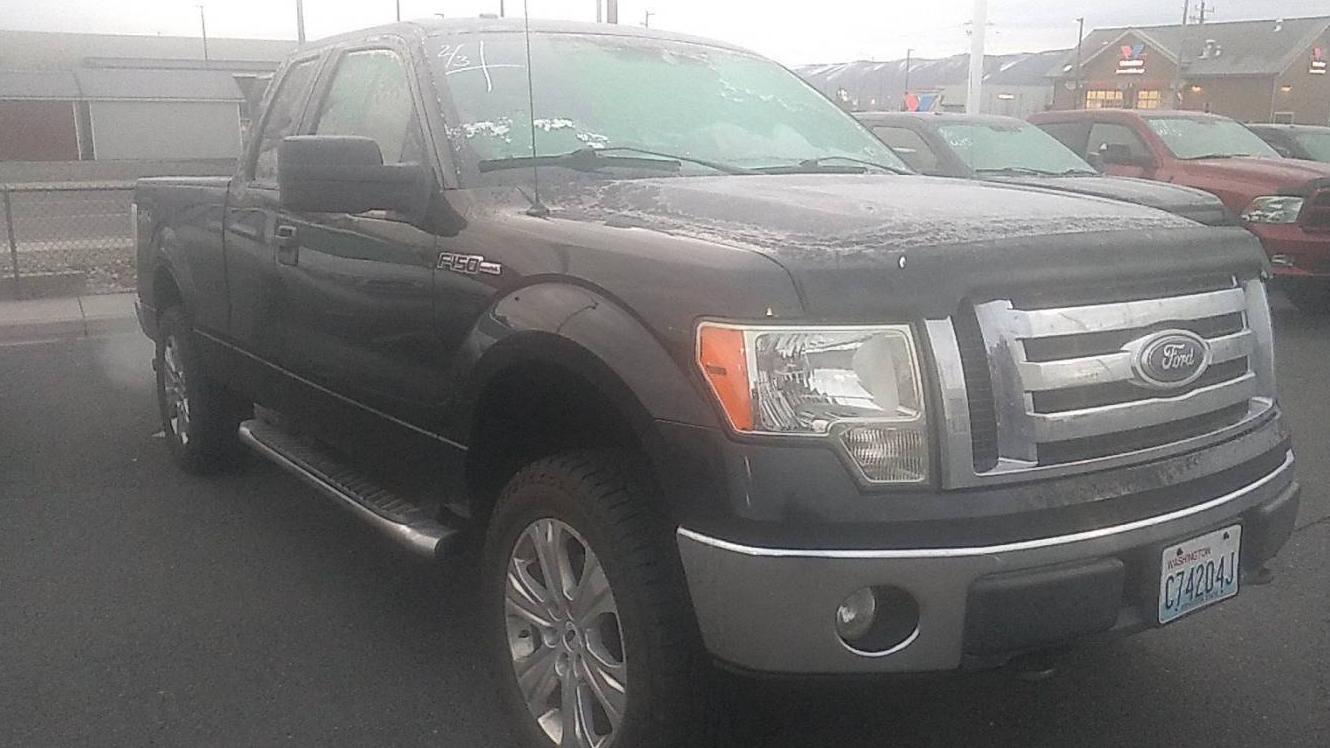 FORD F-150 2010 1FTFX1EV9AFC25032 image