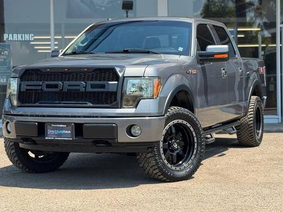 FORD F-150 2010 1FTFW1EV9AFA32205 image