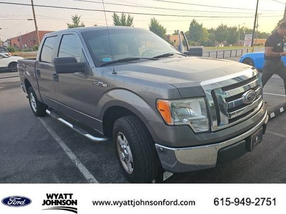 FORD F-150 2010 1FTEW1C80AFA79101 image