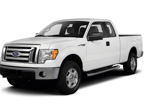 FORD F-150 2010 1FTEX1CW4AFA93658 image