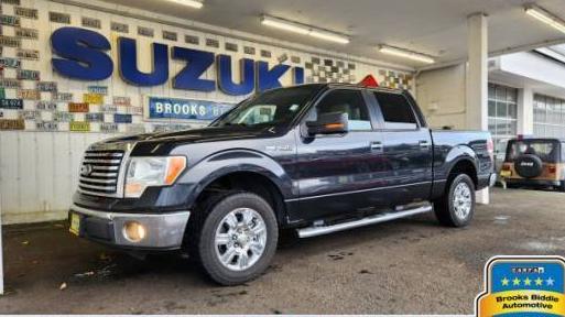 FORD F-150 2010 1FTEW1C86AFC60316 image