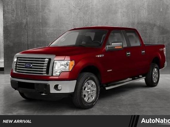 FORD F-150 2010 1FTEW1C82AKE25320 image