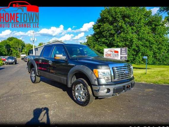 FORD F-150 2010 1FTEW1E89AFC87720 image