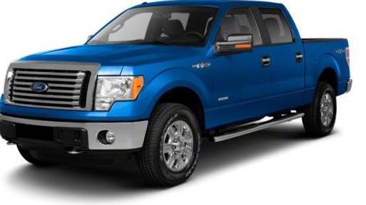 FORD F-150 2010 1FTFW1EV6AKE55461 image