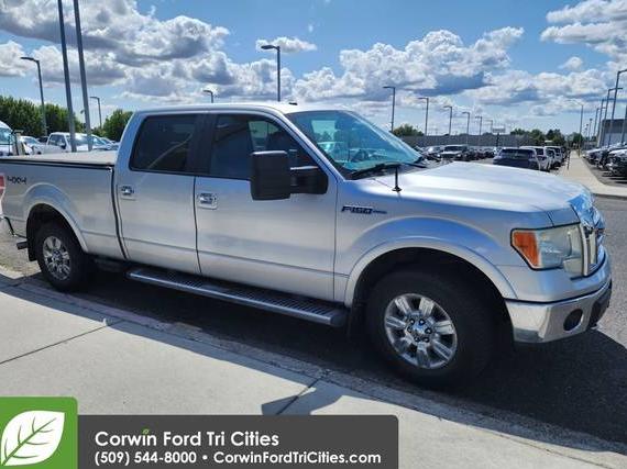 FORD F-150 2010 1FTFW1EV0AFB54399 image