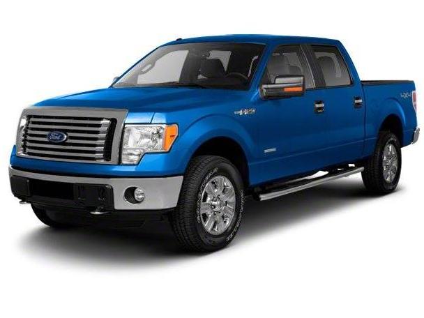 FORD F-150 2010 1FTFW1EV7AFB39088 image