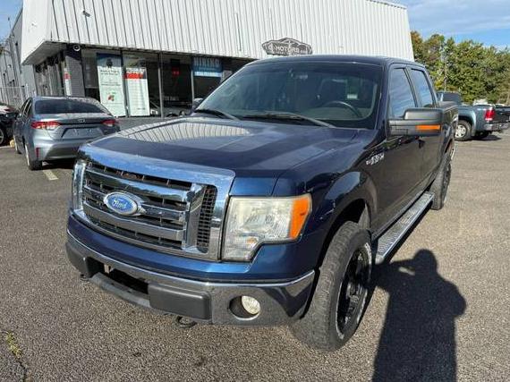 FORD F-150 2010 1FTFW1EV5AFB24217 image