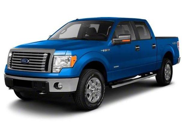 FORD F-150 2010 1FTFW1EV9AFB55261 image