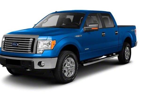 FORD F-150 2010 1FTFW1EV8AFD14030 image